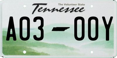 TN license plate A0300Y