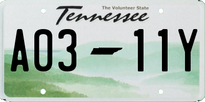 TN license plate A0311Y