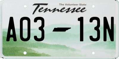 TN license plate A0313N