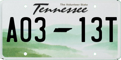 TN license plate A0313T