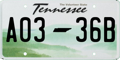 TN license plate A0336B