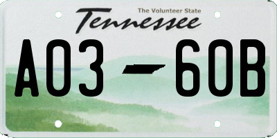 TN license plate A0360B