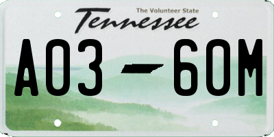 TN license plate A0360M