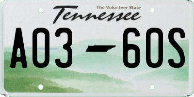 TN license plate A0360S