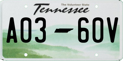 TN license plate A0360V