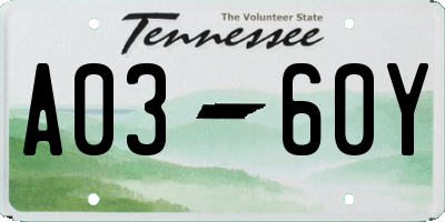 TN license plate A0360Y