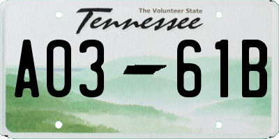TN license plate A0361B