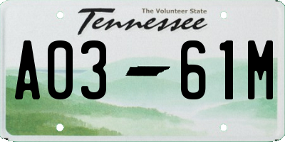 TN license plate A0361M