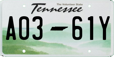 TN license plate A0361Y