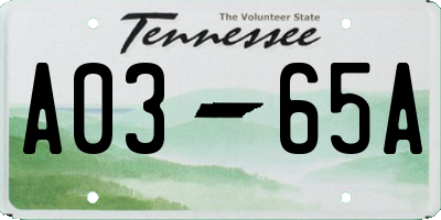 TN license plate A0365A