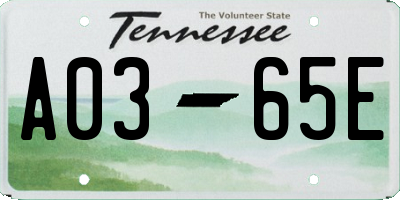 TN license plate A0365E