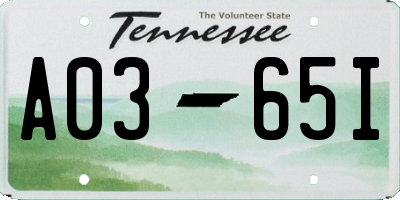 TN license plate A0365I