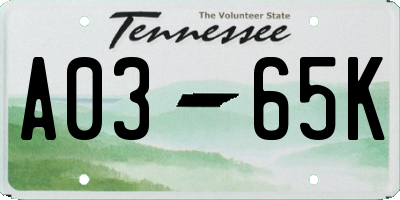 TN license plate A0365K