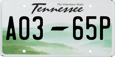 TN license plate A0365P