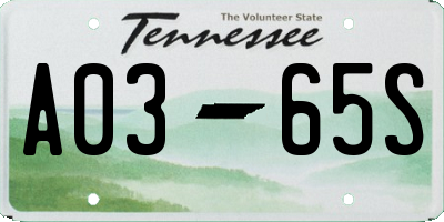 TN license plate A0365S