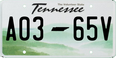 TN license plate A0365V