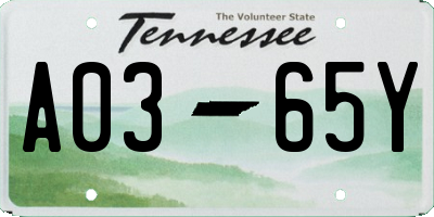 TN license plate A0365Y
