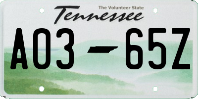 TN license plate A0365Z