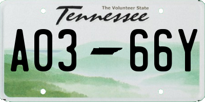 TN license plate A0366Y