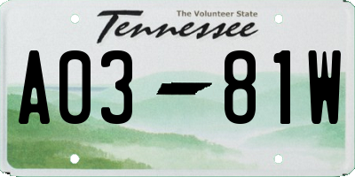 TN license plate A0381W