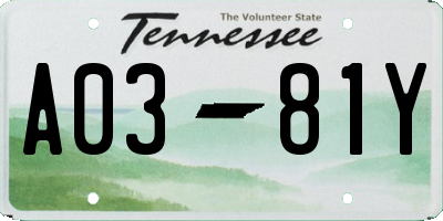 TN license plate A0381Y