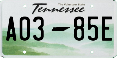 TN license plate A0385E