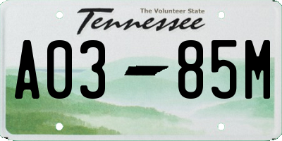 TN license plate A0385M