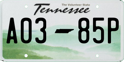 TN license plate A0385P