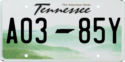 TN license plate A0385Y