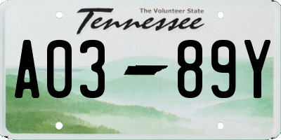TN license plate A0389Y