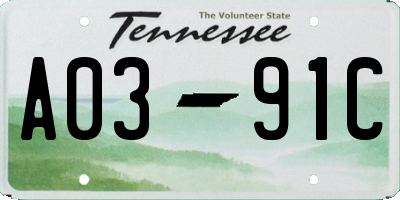 TN license plate A0391C