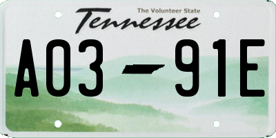 TN license plate A0391E