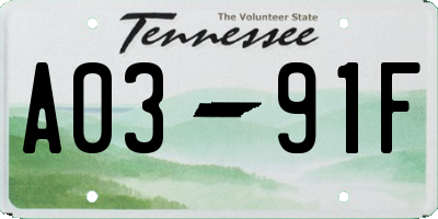 TN license plate A0391F