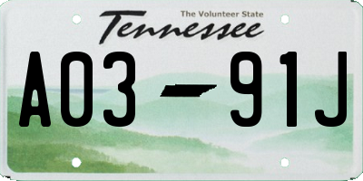 TN license plate A0391J