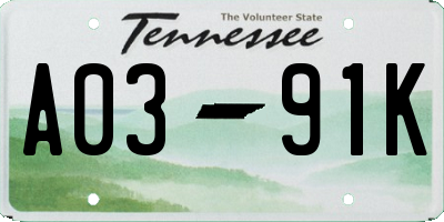 TN license plate A0391K