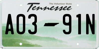 TN license plate A0391N