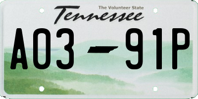 TN license plate A0391P
