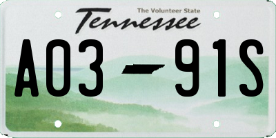 TN license plate A0391S