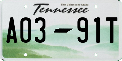 TN license plate A0391T
