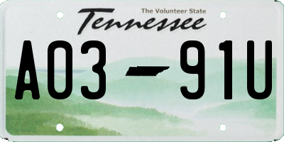 TN license plate A0391U