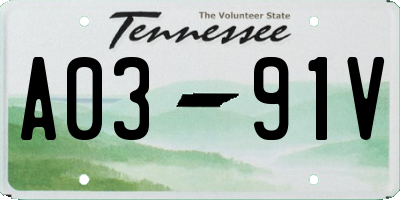 TN license plate A0391V