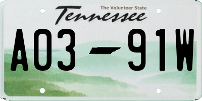 TN license plate A0391W