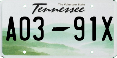 TN license plate A0391X