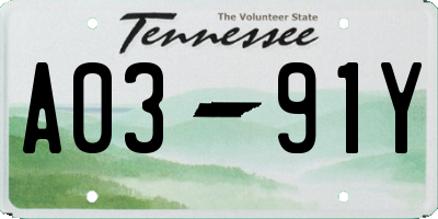 TN license plate A0391Y