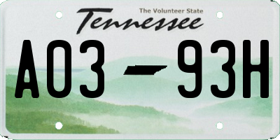 TN license plate A0393H