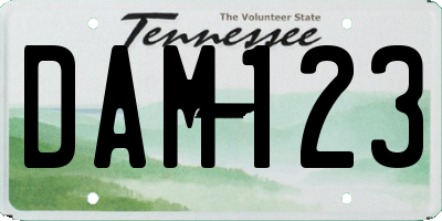 TN license plate DAM123