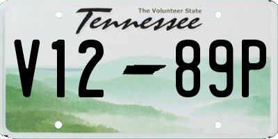 TN license plate V1289P