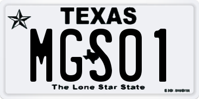 TX license plate MGS01
