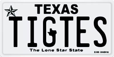 TX license plate TIGTES