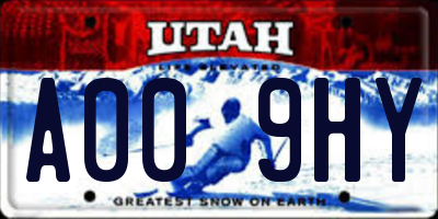UT license plate A009HY